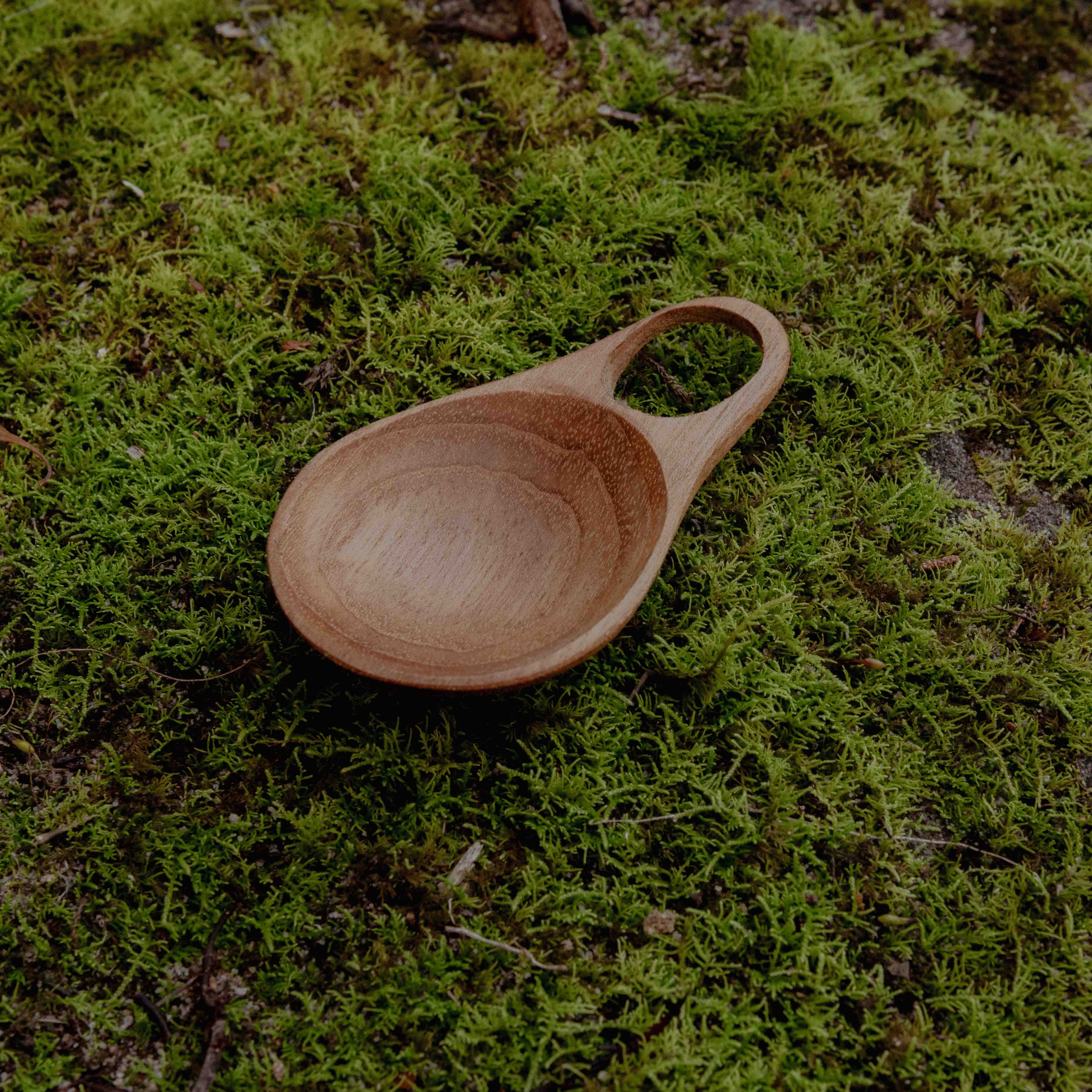 Moon Scoop